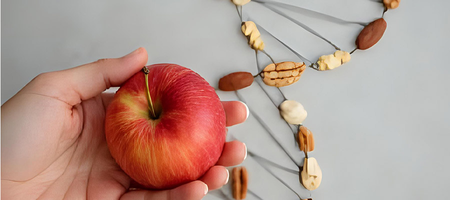  Menschliche Hand, die einen Apfel hält, vor einer DNA-Helix aus Nüssen, symbolisiert den Einfluss gesunder Ernährung auf Genaktivität und Epigenetik.