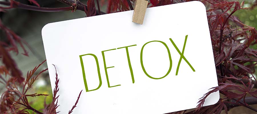 Detoxtrainerin 900x400