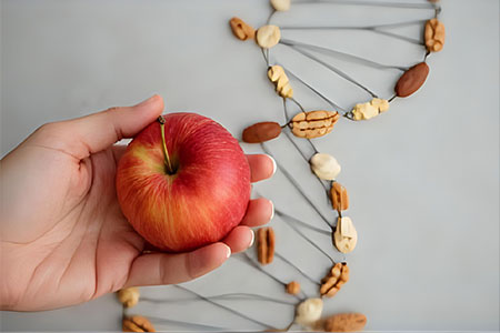 Menschliche Hand, die einen Apfel hält, vor einer DNA-Helix aus Nüssen, symbolisiert den Einfluss gesunder Ernährung auf Epigenetik.