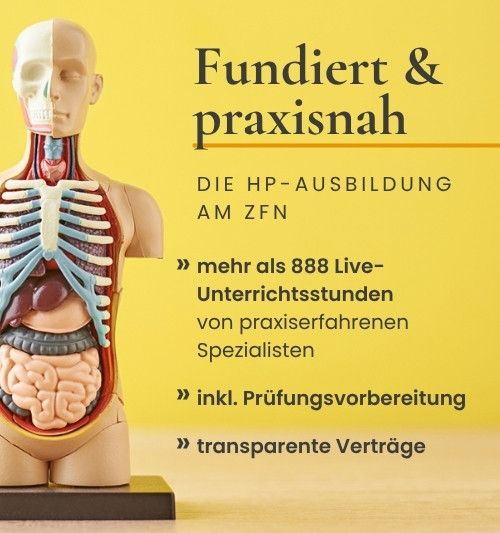 Visuelle Beschreibung der Vorteile der HP-Ausbildung am ZfN