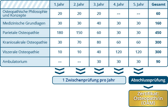 OST Ausbildungsaufbau 22