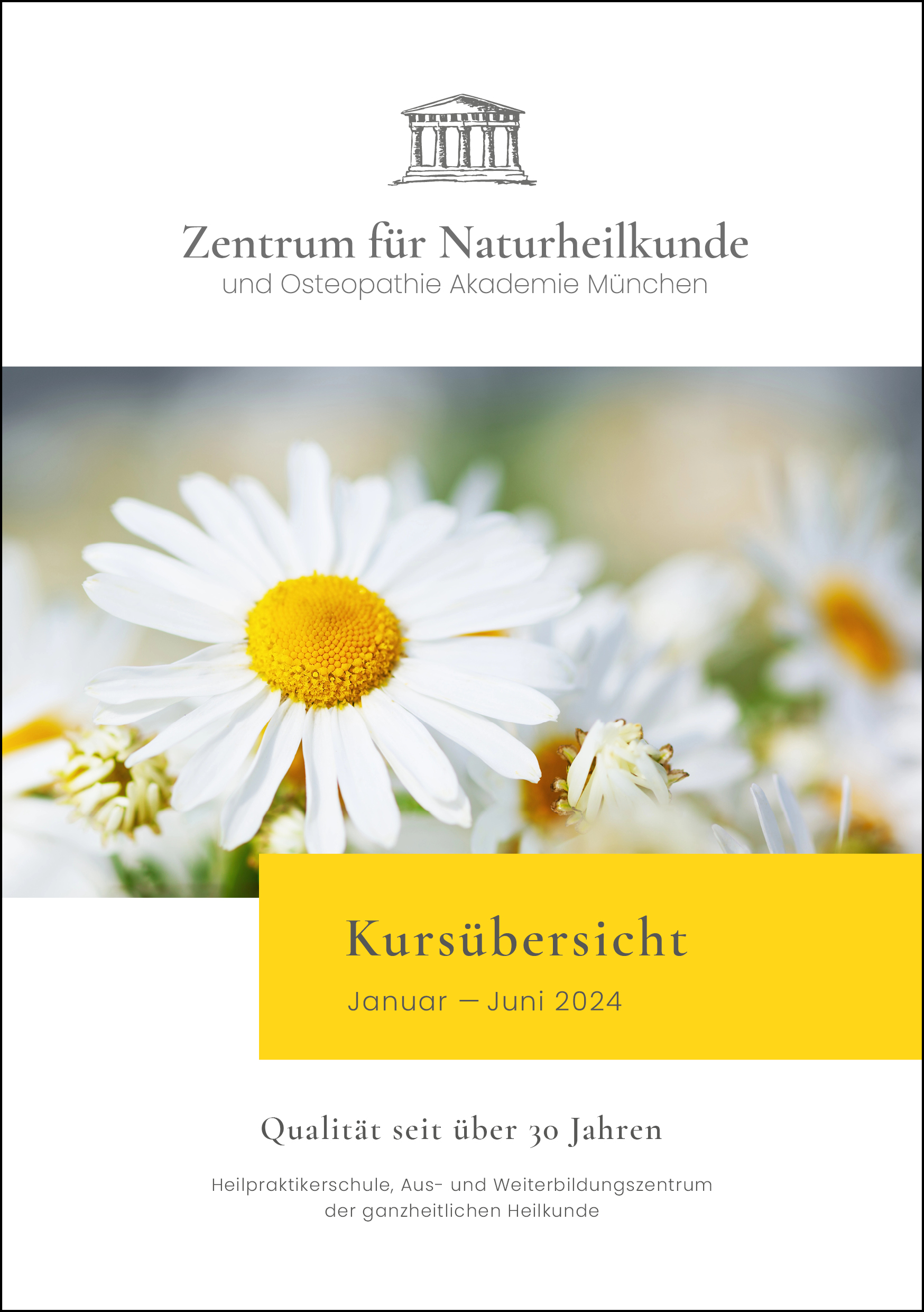 ZfN Programmheft 2024 Frühjahr Sommer