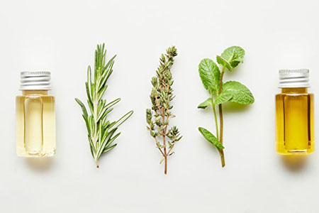 Phytotherapie Ausbildung