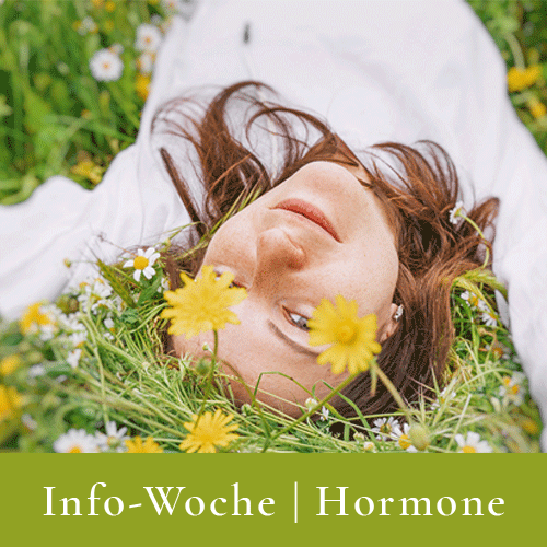 Banner Info Woche Hormone